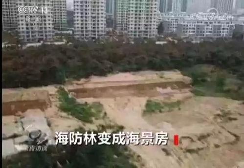 海阳市爆料网最新消息,最新动态速览，揭秘海阳市热点事件！